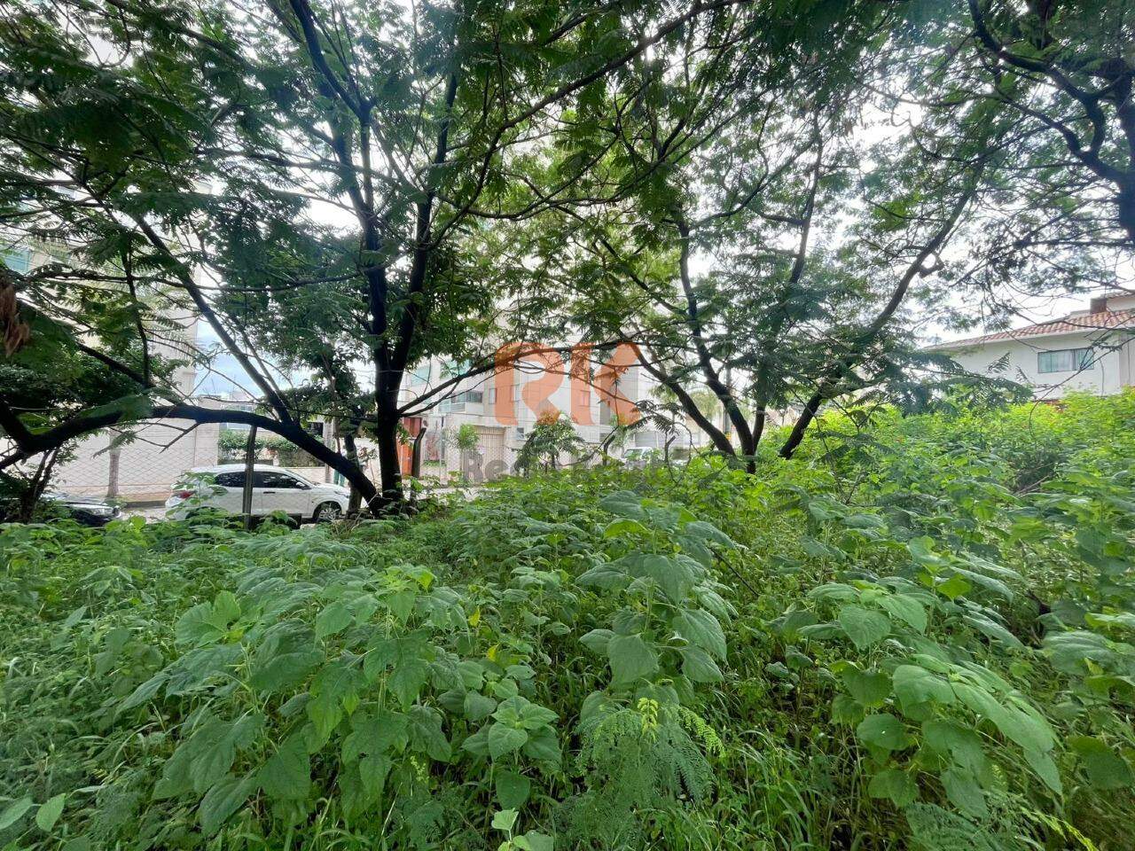 Terreno / Área para aluguel no Castelo: 