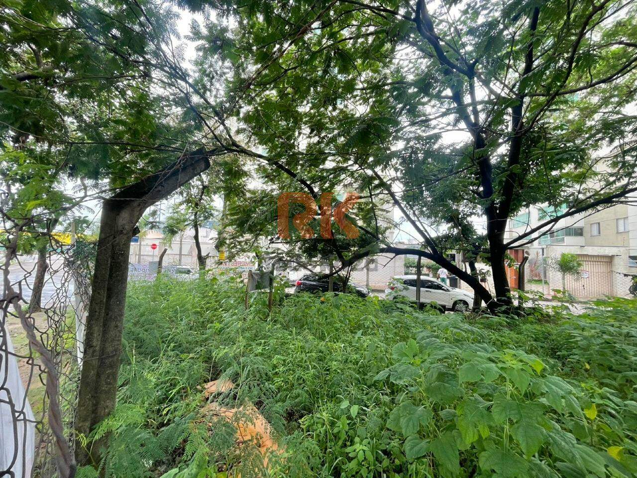 Terreno / Área para aluguel no Castelo: 