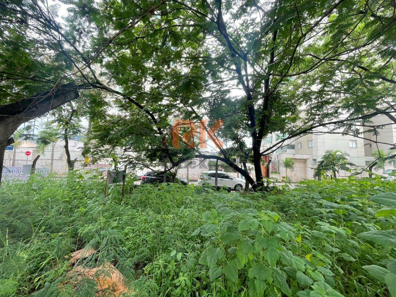 Terreno / Área para aluguel no Castelo: 