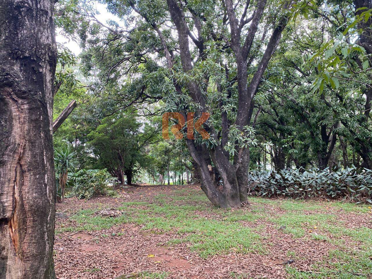 Lote à venda no Garças: 