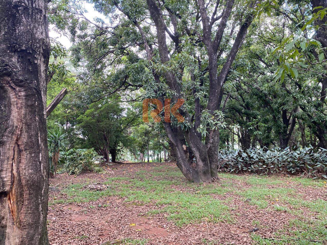 Lote à venda no Garças: 