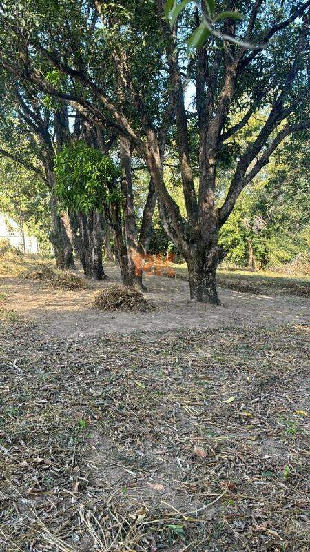 Lote à venda no Garças: 