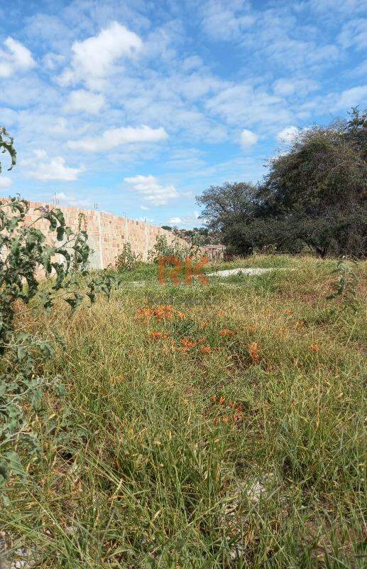 Lote à venda no Trevo: 