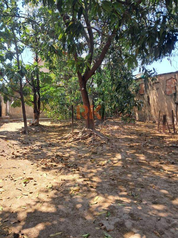 Lote à venda no Novo Progresso: 