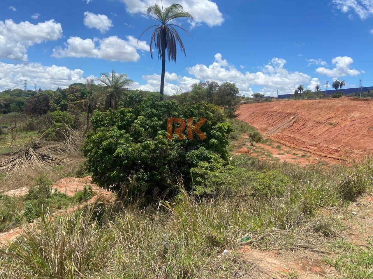 Terreno / Área à venda no Campina Verde: 