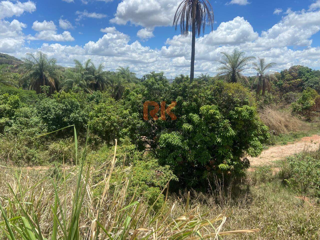 Terreno / Área à venda no Campina Verde: 