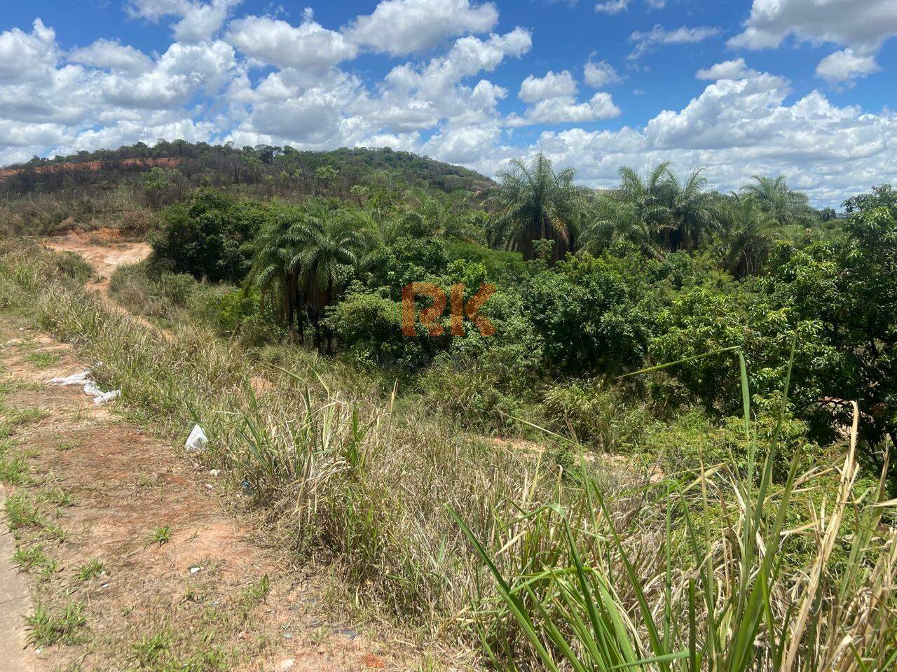 Terreno / Área à venda no Campina Verde: 
