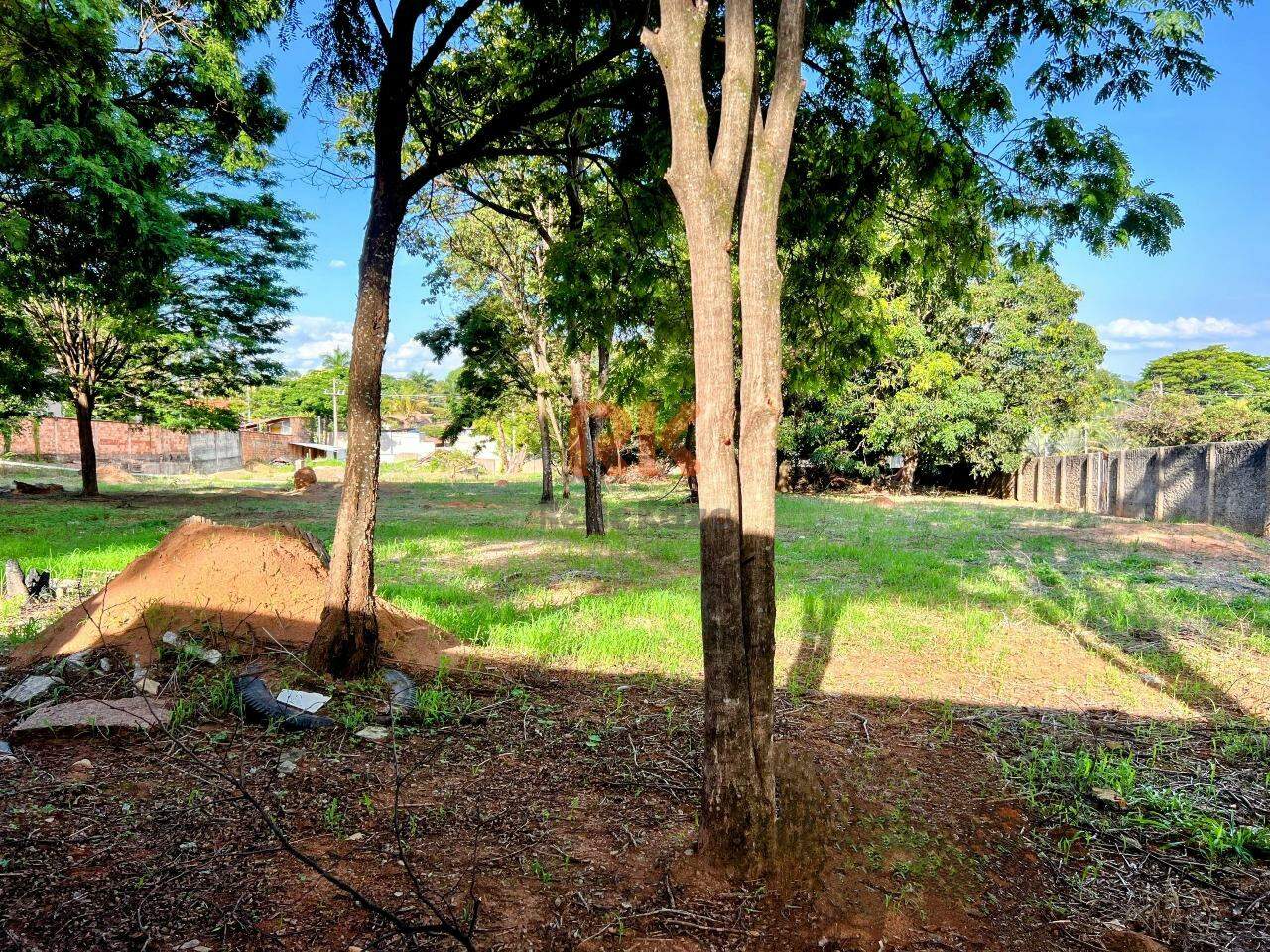 Lote à venda no Braúnas: 