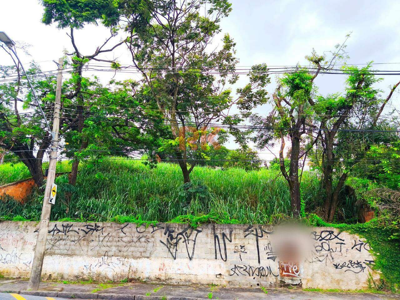 Lote à venda no Garças: 