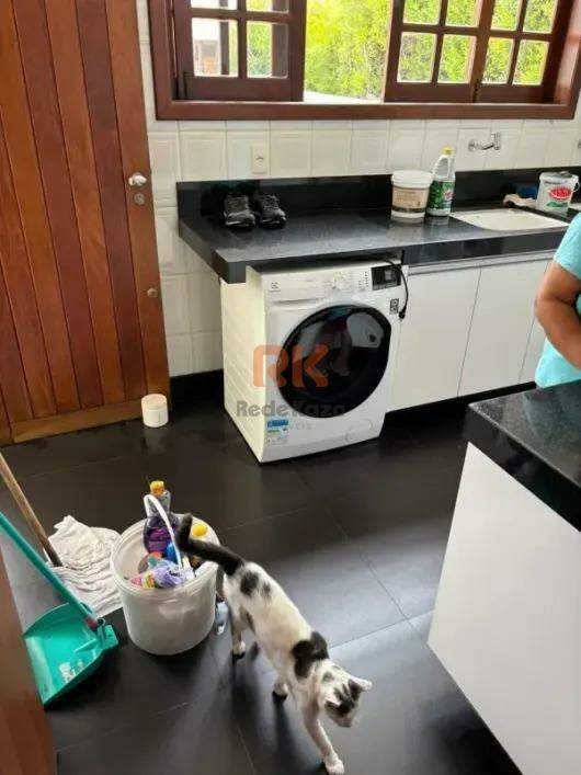 Casa para aluguel no Bandeirantes (Pampulha): 