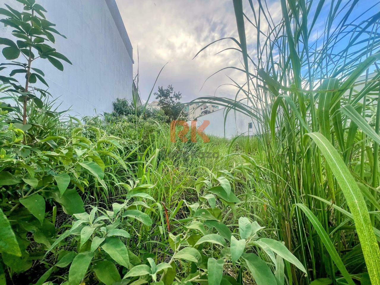 Lote à venda no Cabral: 