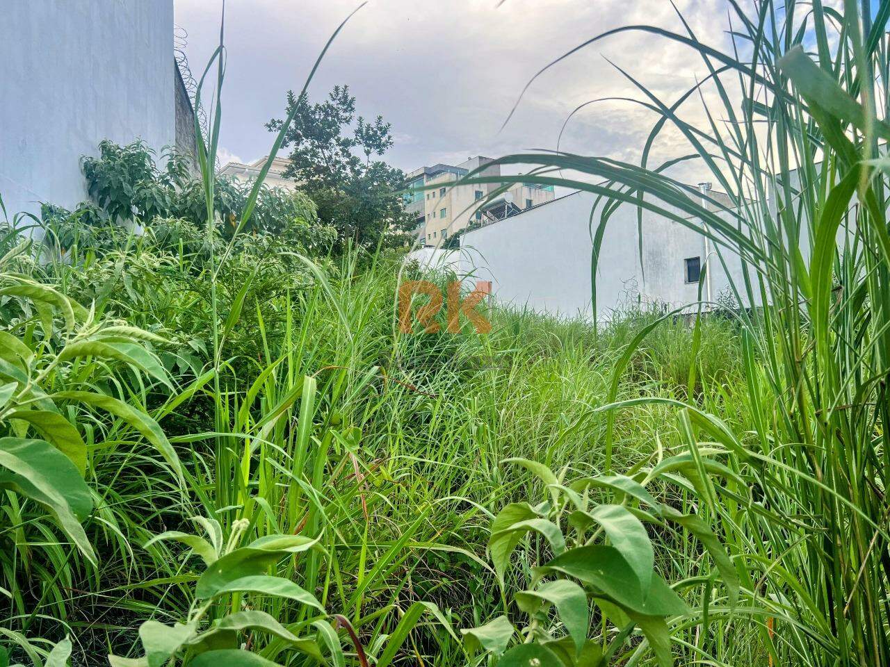 Lote à venda no Cabral: 