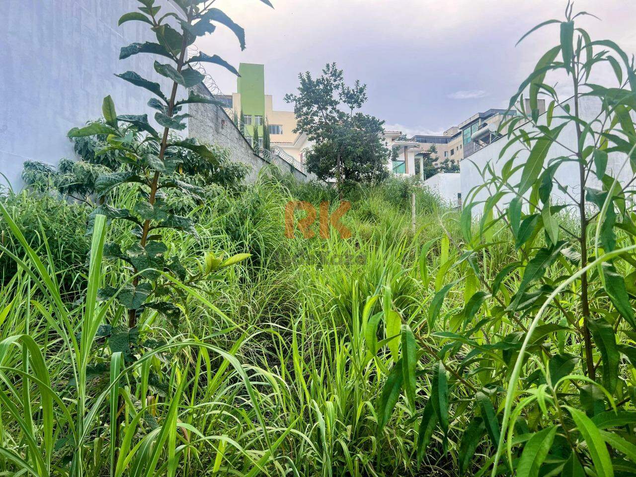 Lote à venda no Cabral: 
