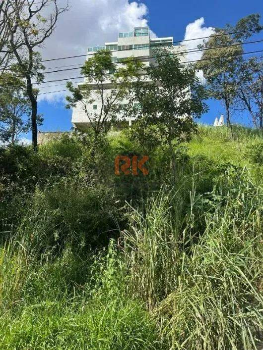 Lote à venda no Manacás: 