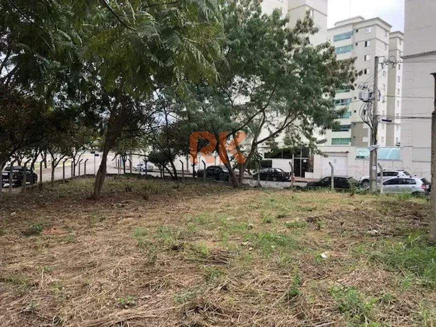 Lote para aluguel no Paquetá: 