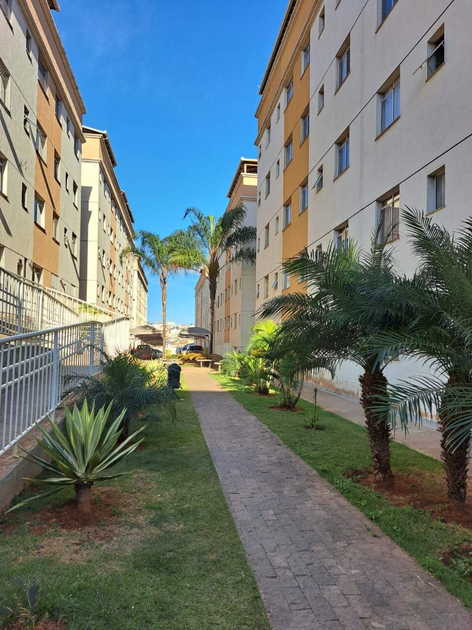 Apartamento à venda com 3 quartos, 71m² - Foto 23