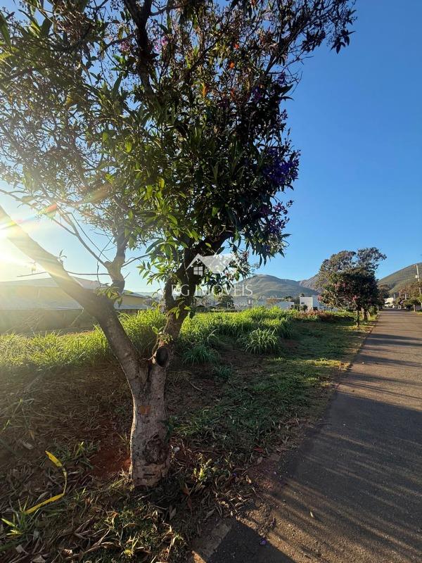 Terreno, 1007 m² - Foto 7