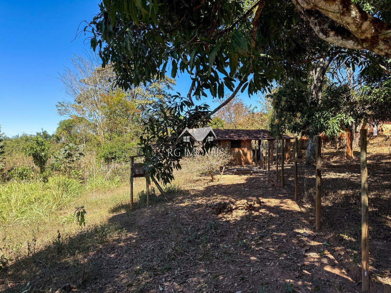 Chácara, 5 quartos, 6 hectares - Foto 10