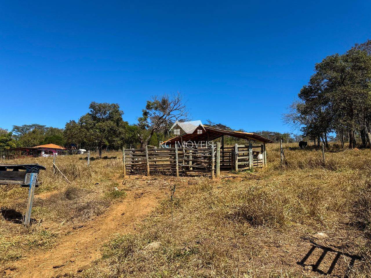 Chácara, 5 quartos, 6 hectares - Foto 19