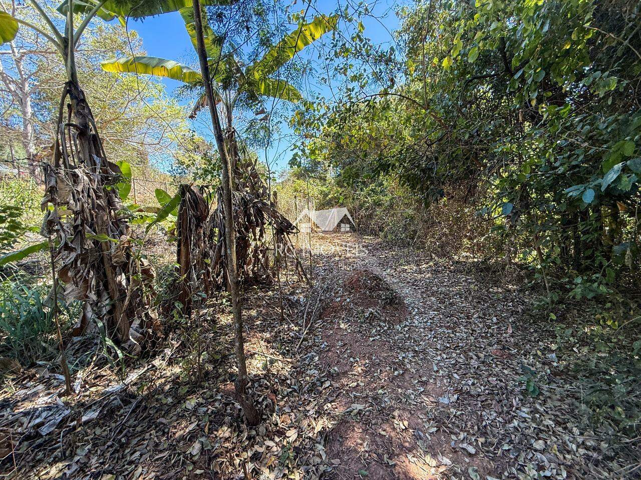 Chácara, 5 quartos, 6 hectares - Foto 24