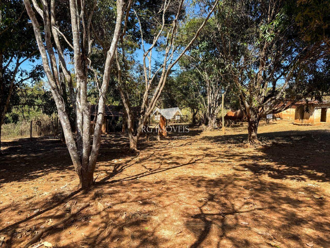 Chácara, 5 quartos, 6 hectares - Foto 4