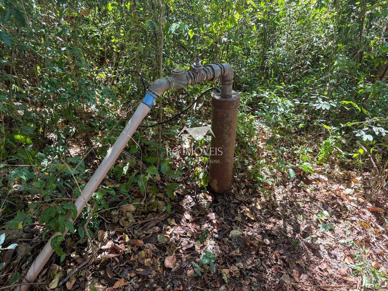 Chácara, 5 quartos, 6 hectares - Foto 12