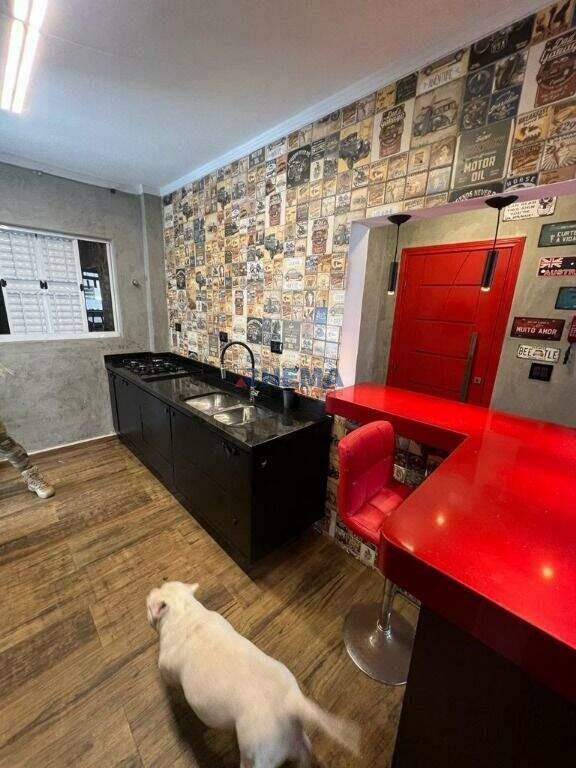 Apartamento à venda no José Menino: 