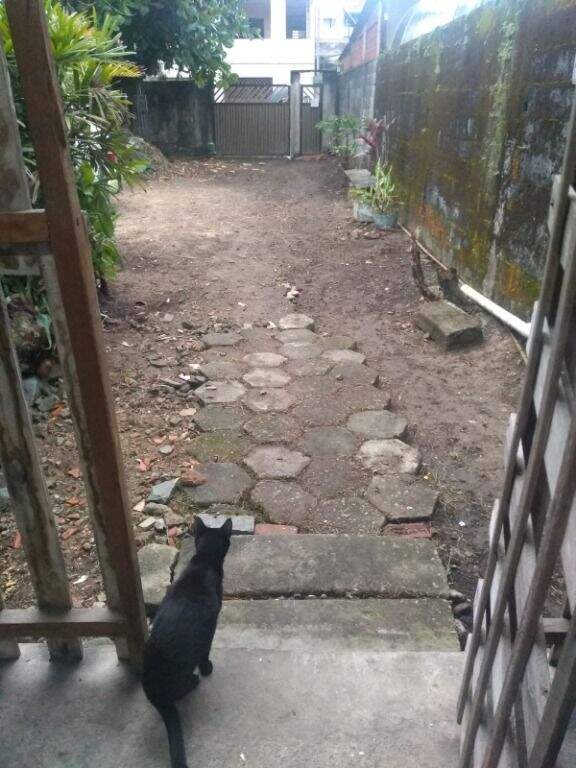 Terreno à venda no Parque São Vicente: 