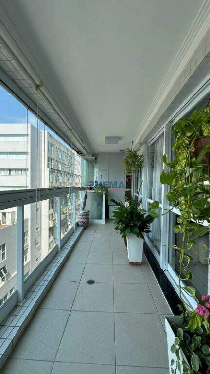 Apartamento à venda no Gonzaga: 