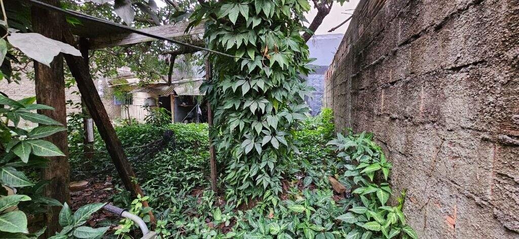 Terreno à venda no Estuário: 