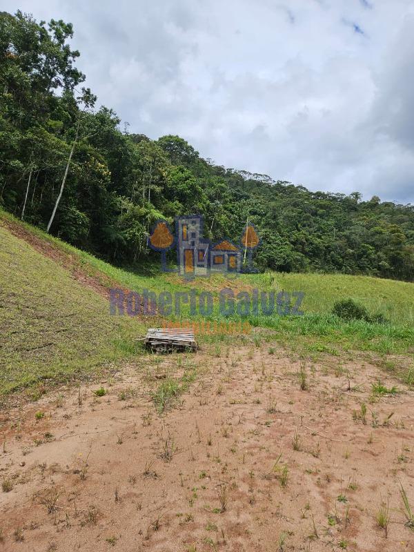 Terreno à venda no São Lourenço: 