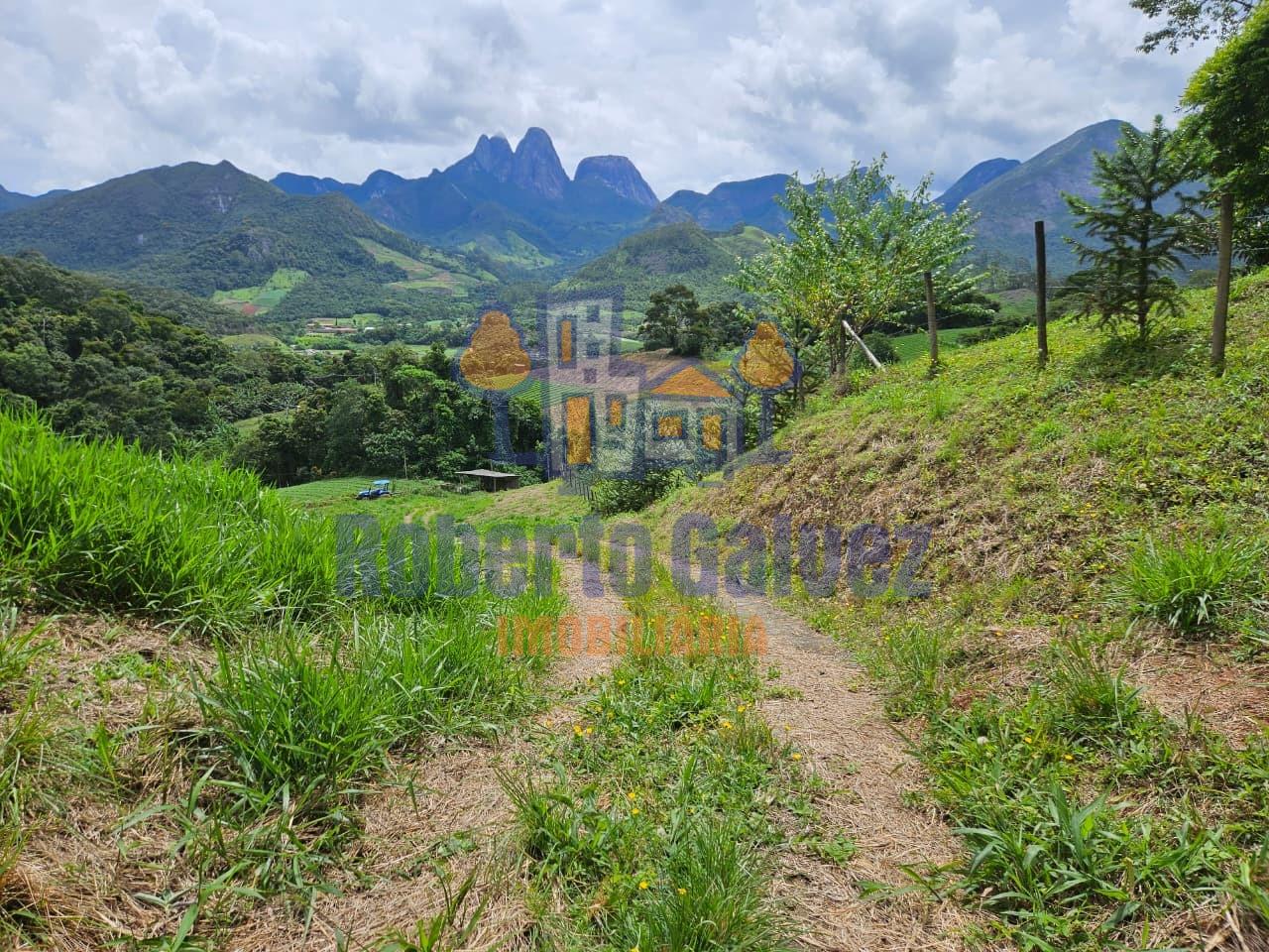 Terreno à venda no São Lourenço: 