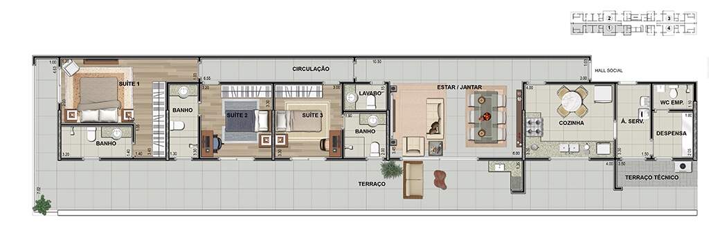 PLANTA_AP31