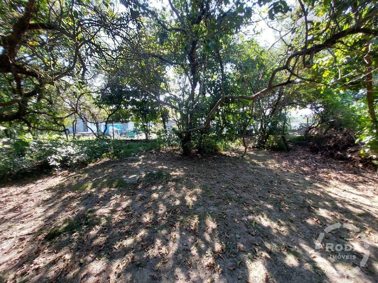 Área à venda no Chico de Paula: 