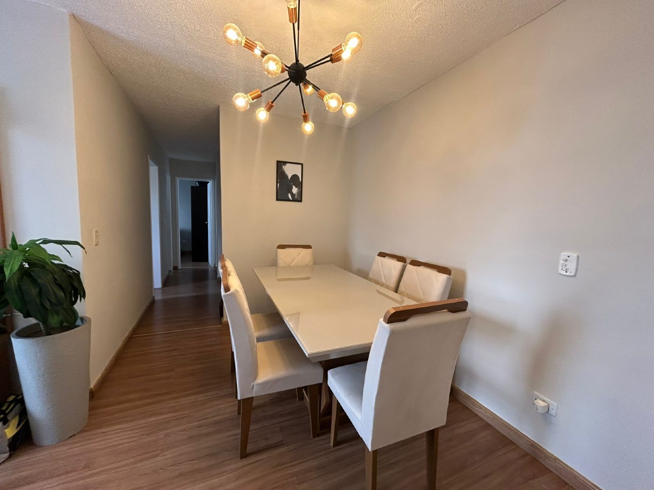 Apartamento à venda no Morro Nova Cintra: 