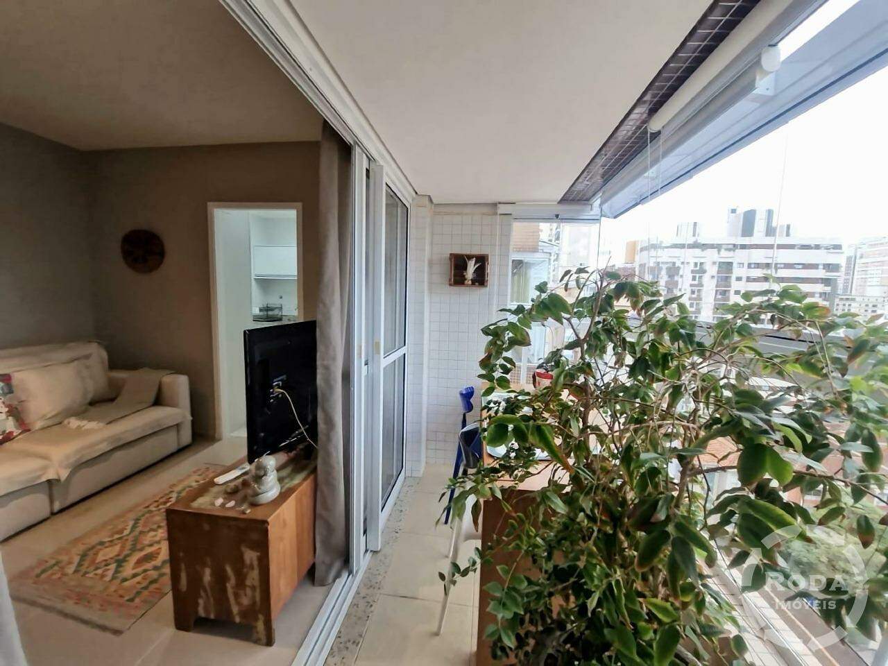 Apartamento para aluguel no Gonzaga: 