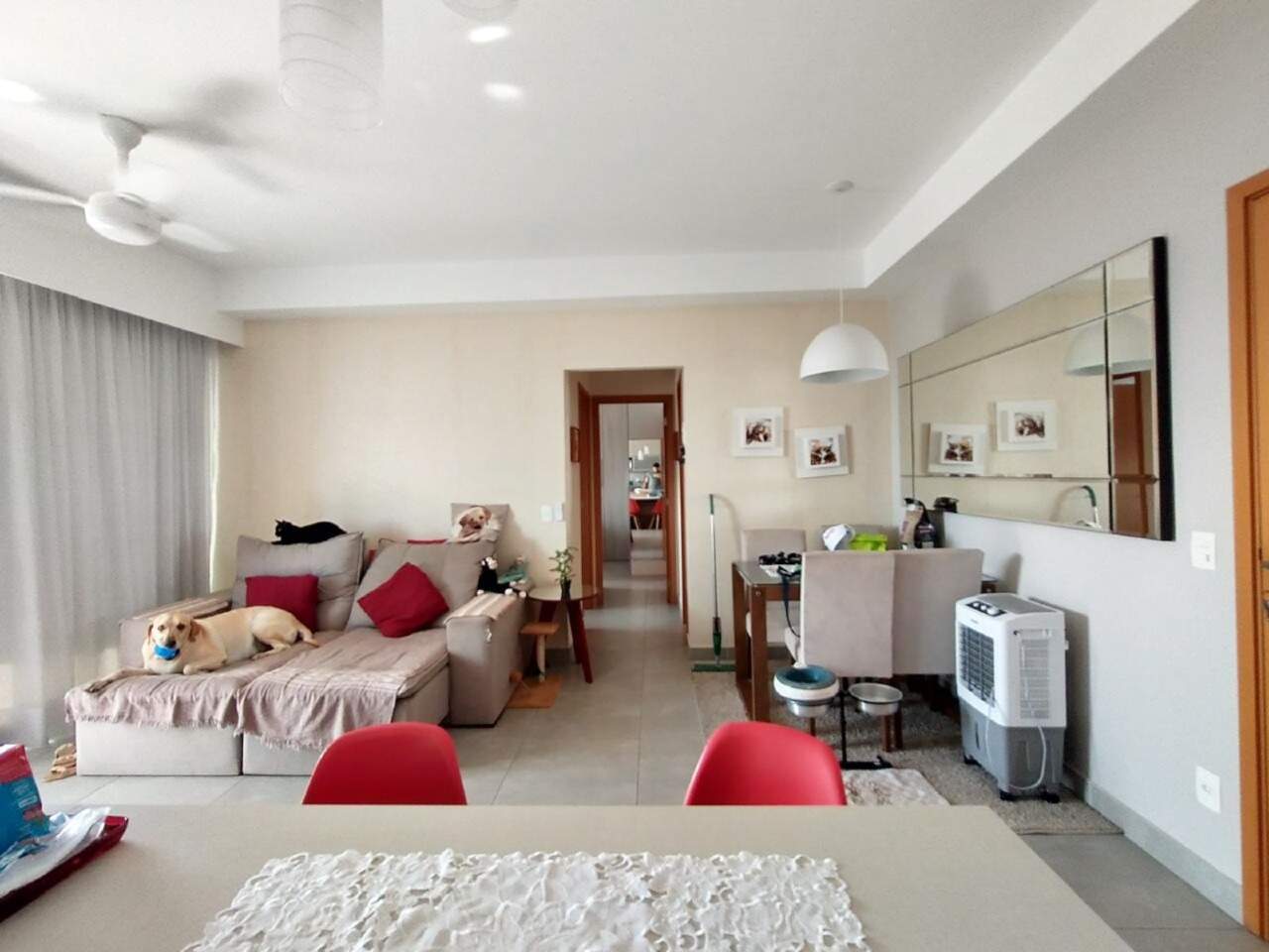 Apartamento à venda no Gonzaga: 