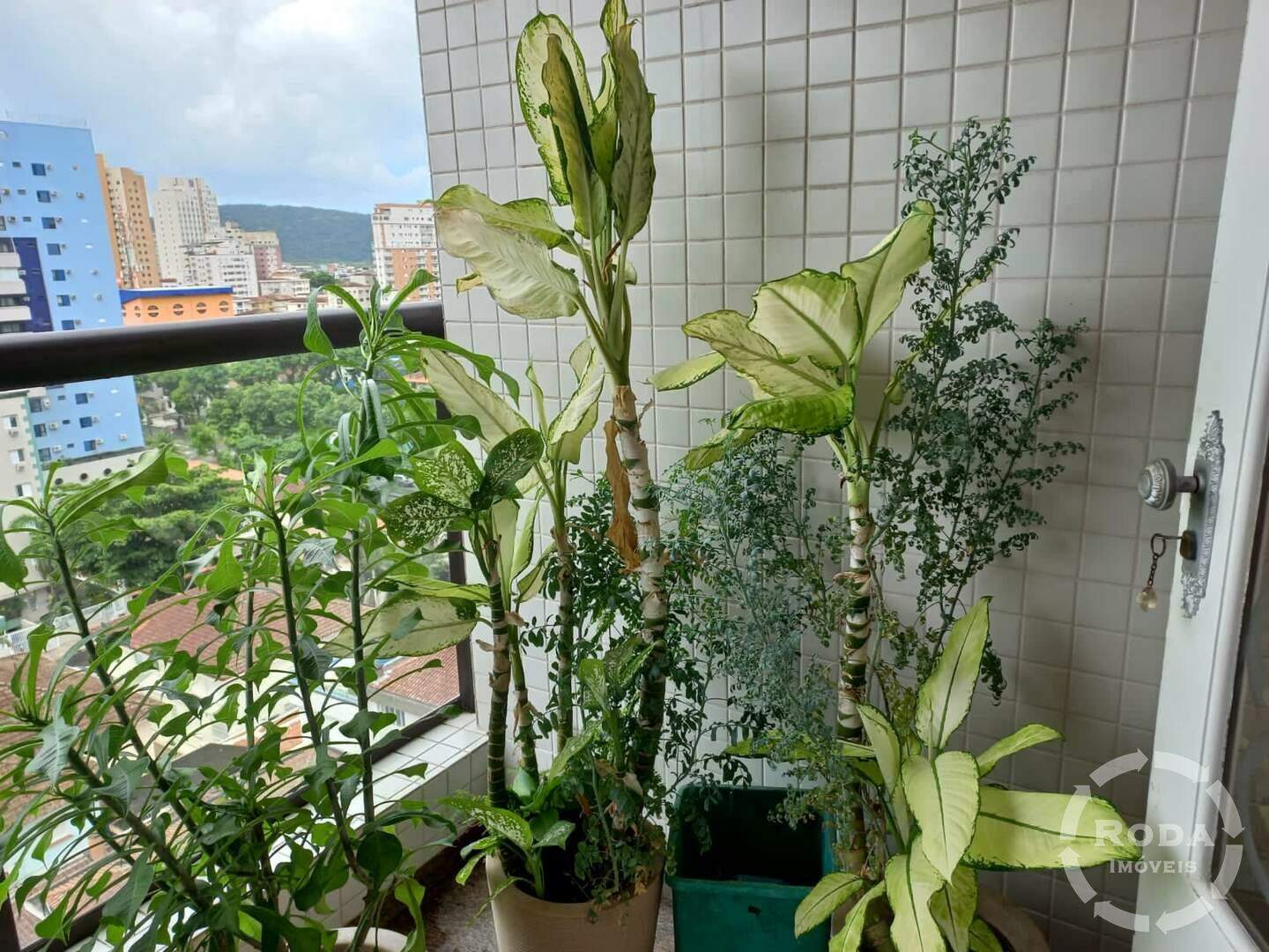 Cobertura à venda no Ponta da Praia: 