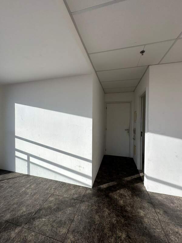 Conjunto Comercial para aluguel no Valongo: