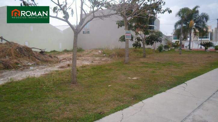 Terreno à venda no Novo Portinho: 