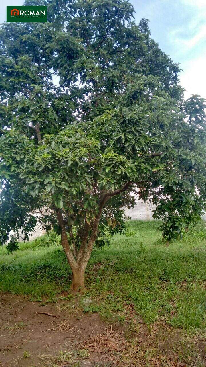 Casa à venda no Baixo Grande: 
