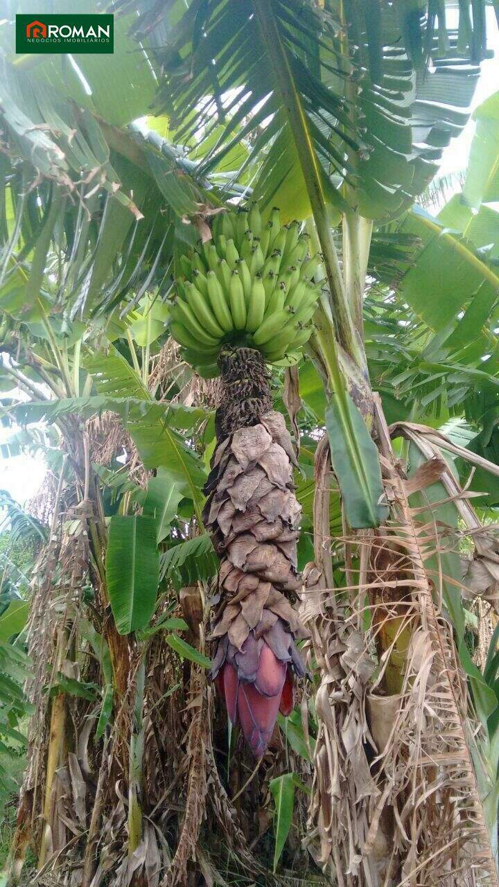 Casa à venda no Baixo Grande: 