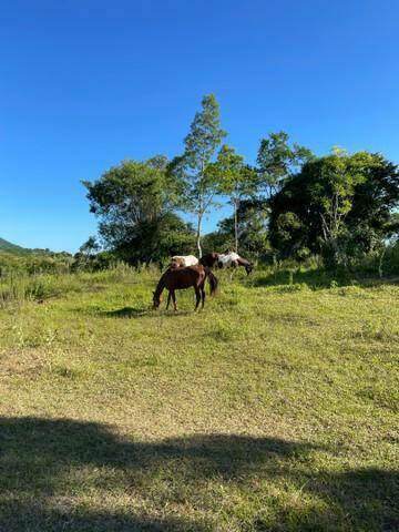 Sítio à venda no Sapeatiba Mirim: 