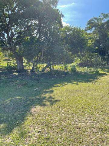 Sítio à venda no Sapeatiba Mirim: 