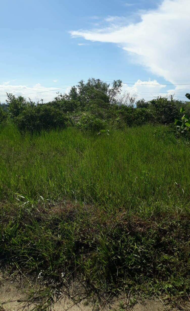 Terreno à venda no Colinas do Peró: 