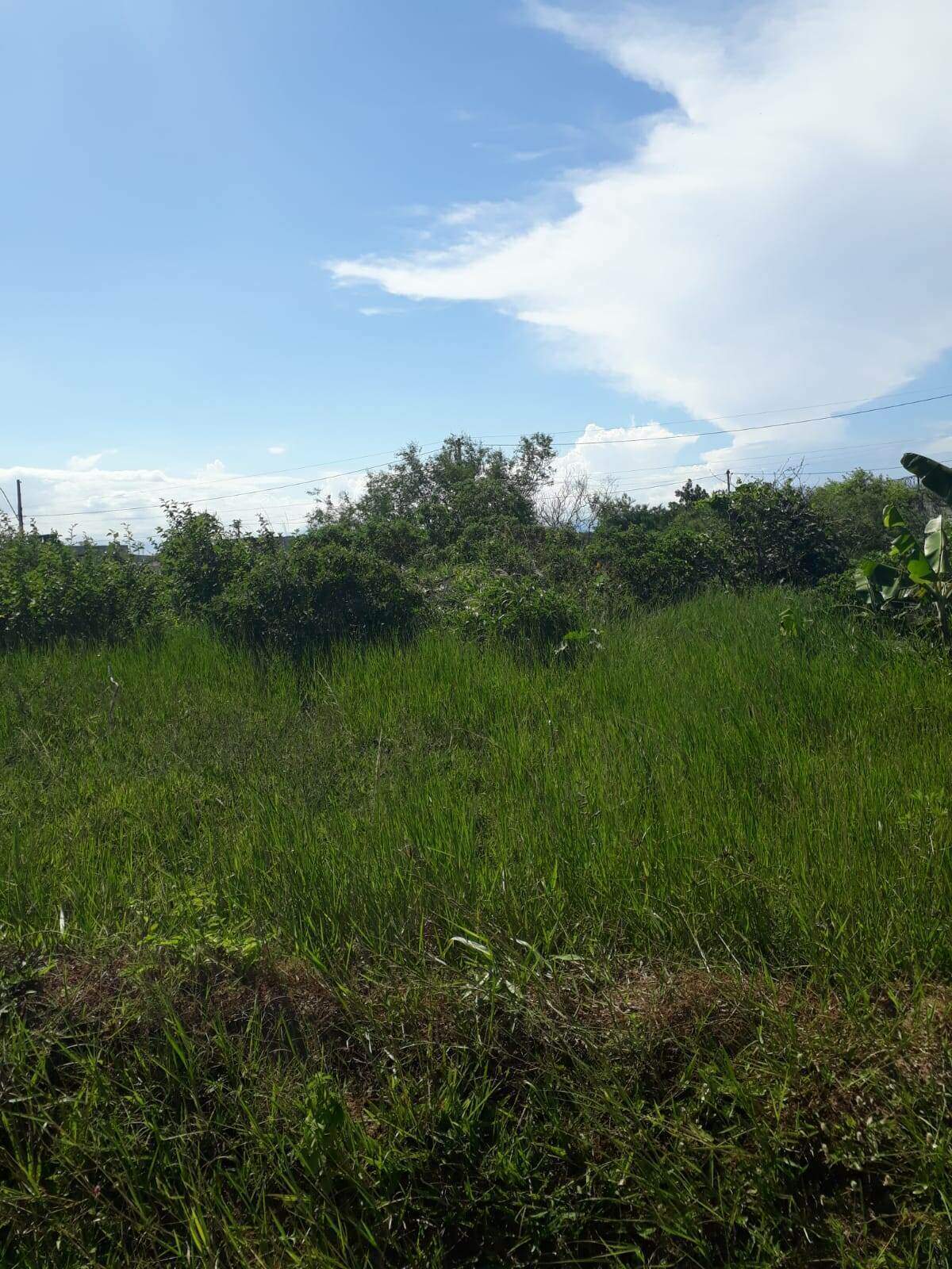 Terreno à venda no Colinas do Peró: 