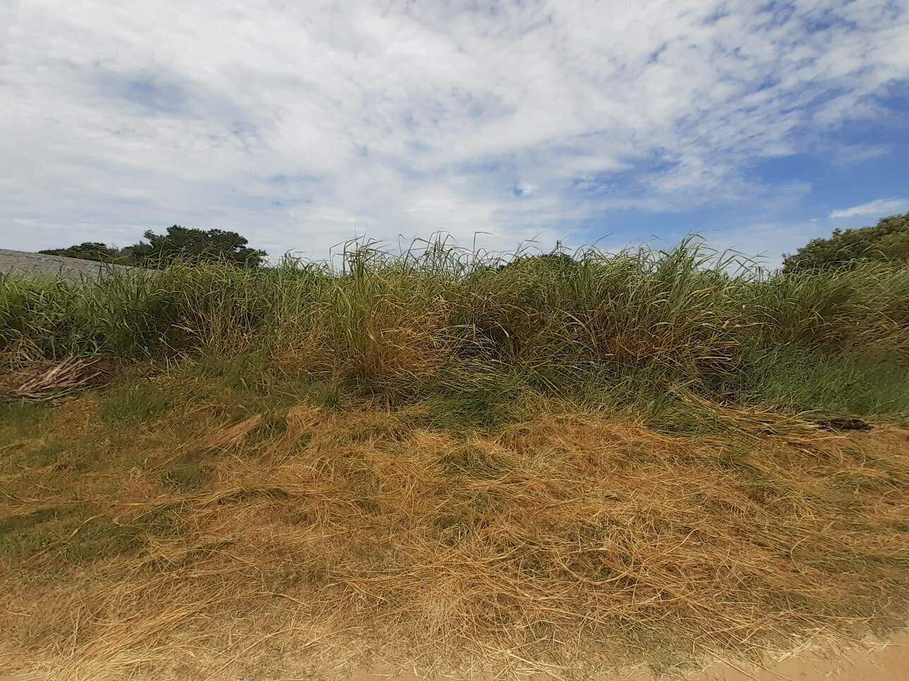 Terreno à venda no Caravelas do peró: 