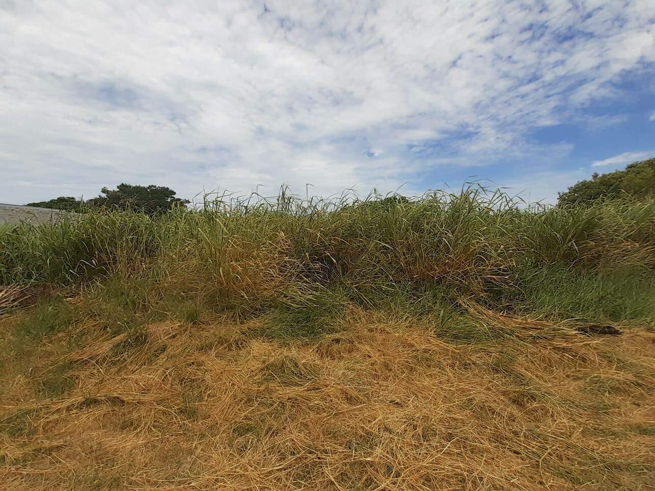 Terreno à venda no Caravelas do peró: 