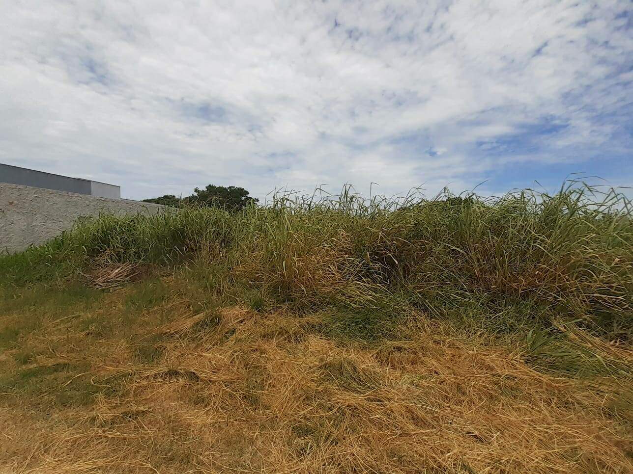 Terreno à venda no Caravelas do peró: 
