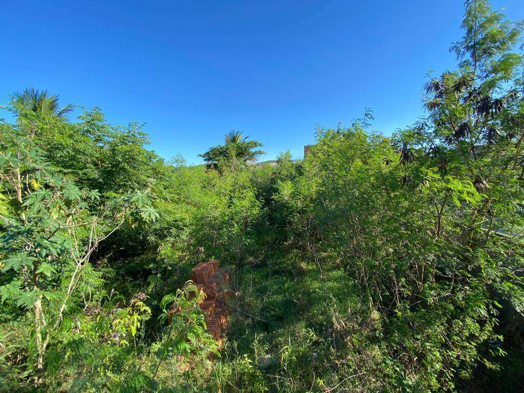 Casa à venda no Monte alegre: 